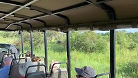 IMG_3684