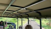IMG_3685