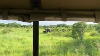 IMG_3686