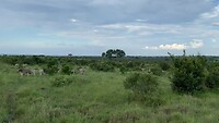 IMG_3717