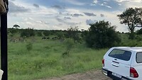 IMG_3727