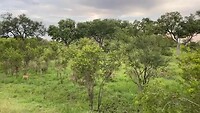IMG_3754