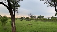 IMG_3757