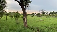 IMG_3762