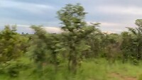 IMG_3786