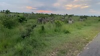 IMG_3791