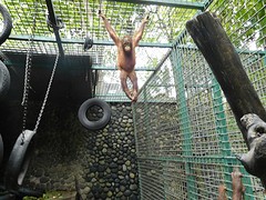 DSCN0223