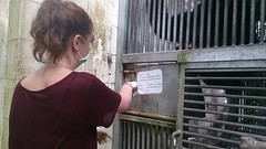 FB_IMG_1455201943999