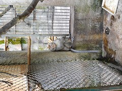 DSCN0320