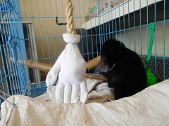 DSCN0331