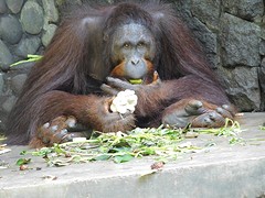 DSCN0347