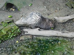 DSCN0357