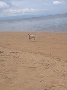 Sanur 14