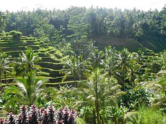 DSCN0829