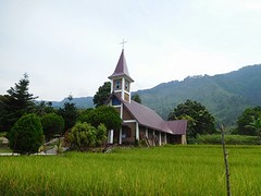 Katholieke kerk