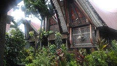 Ons guesthouse in Toraja