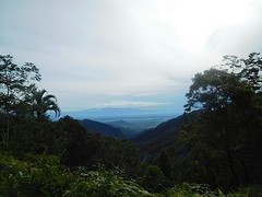 Toraja