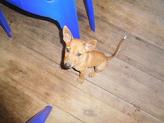 Maxie!