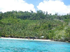 Sandi Beach!