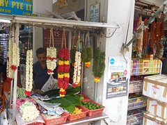 DSCN2250
