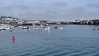 Haven ST Peter Port