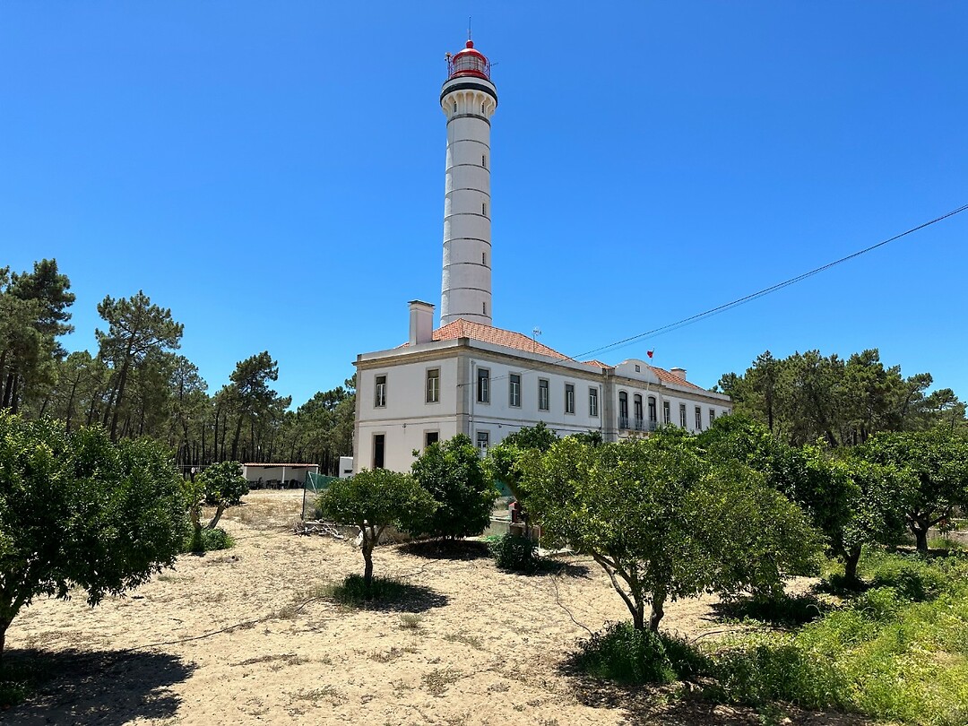 Vuurtoren