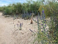 Natuurgebied Ayamonte