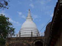 DSC00140