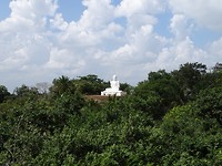 DSC00216