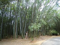 DSC00356