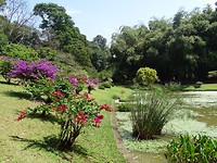 DSC00360