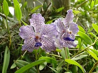DSC00373