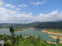 DSC00410