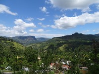 DSC00538