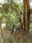 DSC00609