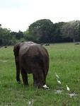DSC00634