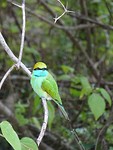 DSC00641