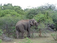 DSC00704