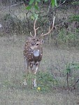 DSC00743