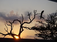 DSC00769