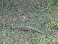 DSC00773