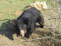 DSC00806