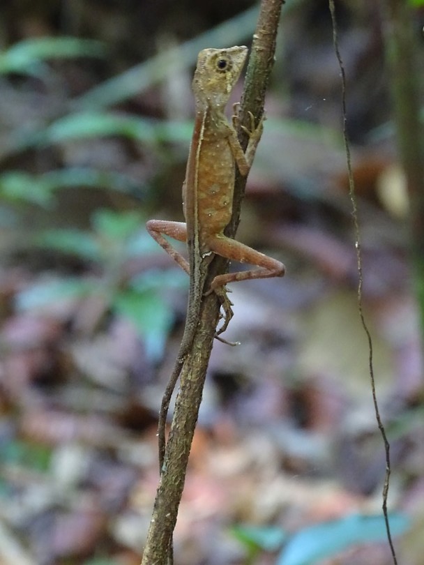 DSC00911