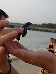 DSC00988
