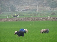DSC01255