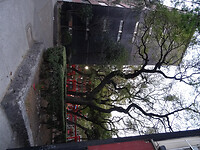 DF9D1901-8DAB-4042-8296-016455041EC3