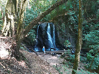 IMG_20210228_155246