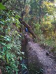 IMG_20210228_183409
