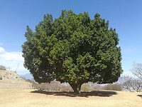 IMG_20210304_143927