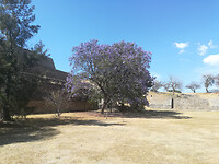 IMG_20210304_143844